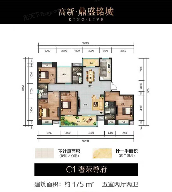 C1戶型