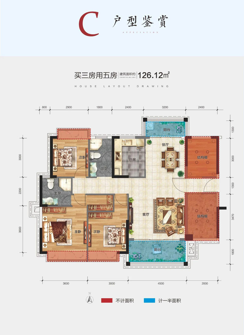 C戶型