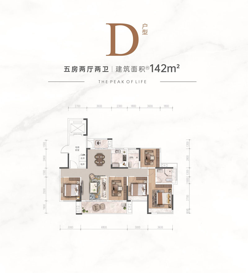 D戶(hù)型