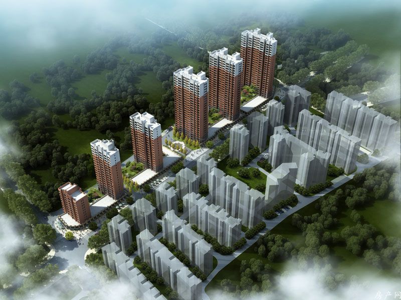 實景圖