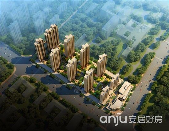 實景圖