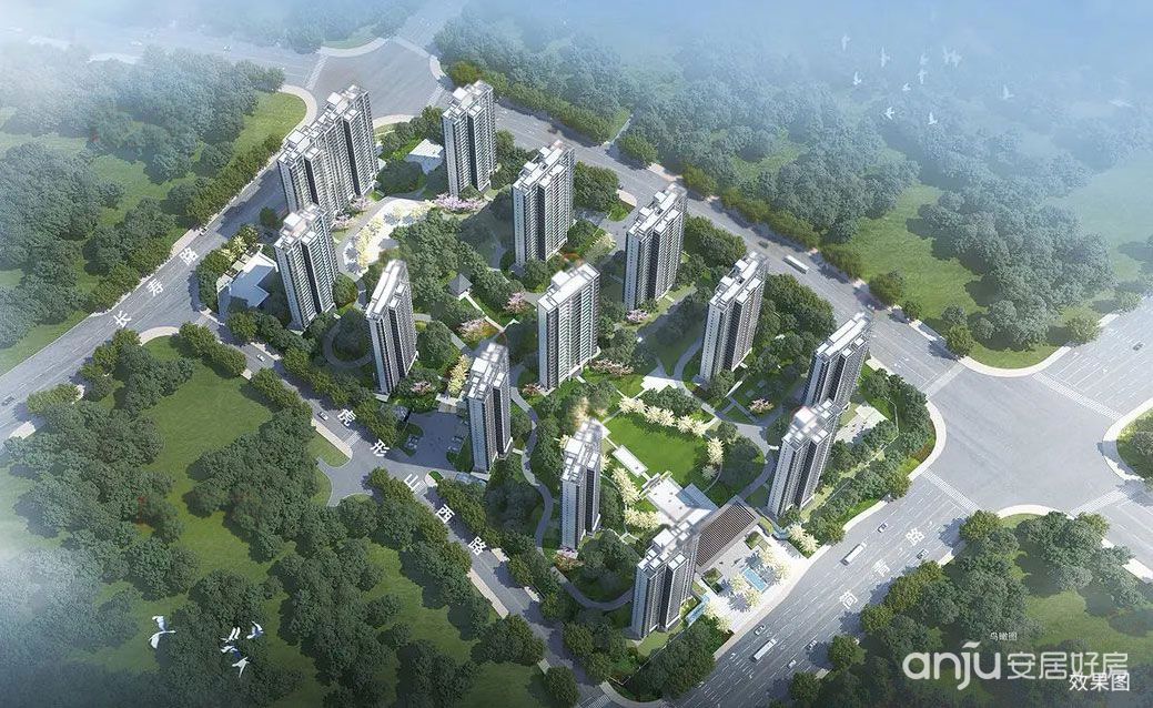 實景圖