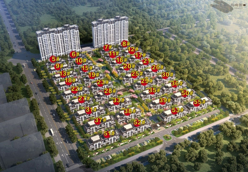 實(shí)景圖
