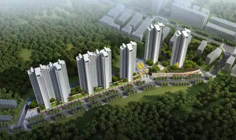 實(shí)景圖